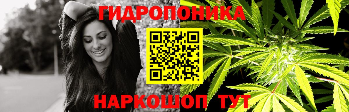 Бошки марихуана марихуана Нижневартовск
